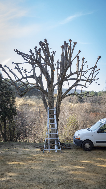 Paysagiste, Montélimar